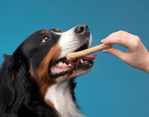 Veiligheidswaarschuwing Barkoo kauwbotjes voor honden